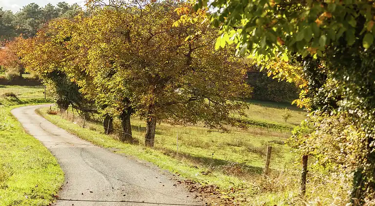 Casa de vacaciones en Loubejac