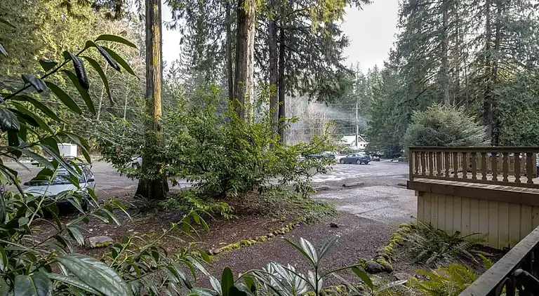 Mt. Baker Lodging Condo #36 - Sleeps 5!