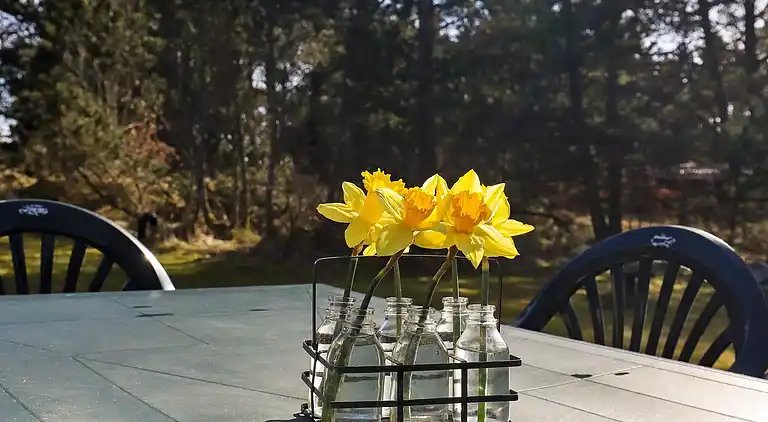 Sommerhus i Blåvand