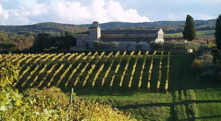 Gårdhus i Ville di Corsano