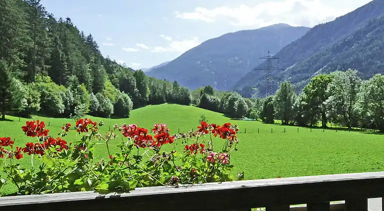 Apartment in Lottersberg