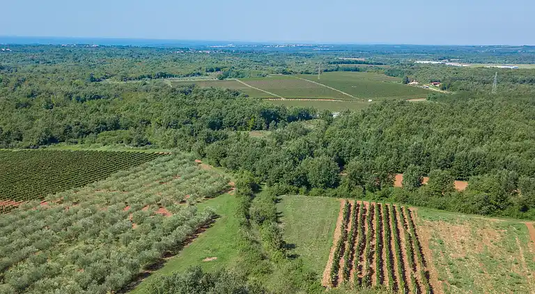 Beautiful villa with pool and a great garden