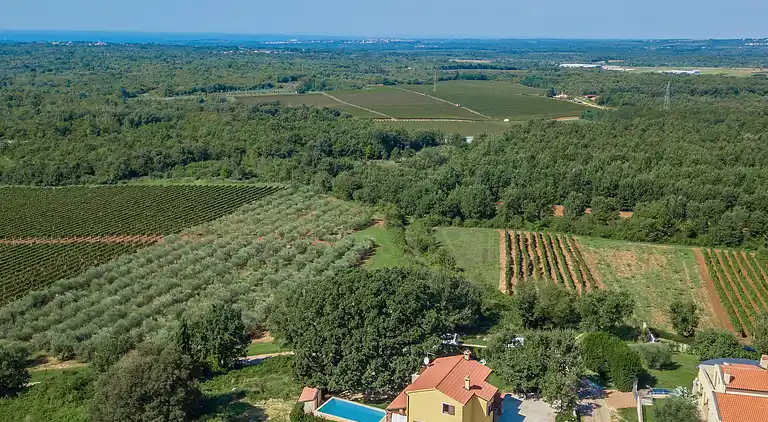 Beautiful villa with pool and a great garden