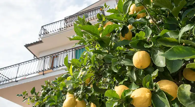 Residence Oleandro *** 1-Bedroom-Apartment - Family & Bike