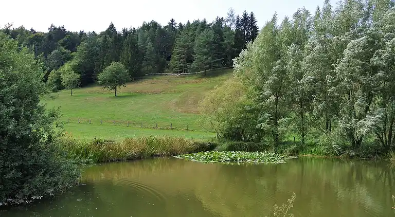 Cottage in Molln