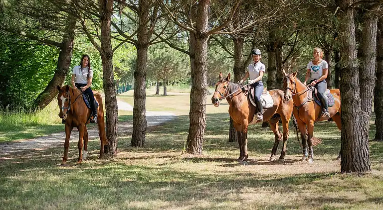 Villa i Isola Albarella