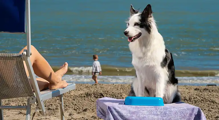 Villa i Isola Albarella