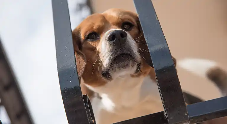 Residence Oleandro *** 1-Bedroom-Apartment - Family & Bike