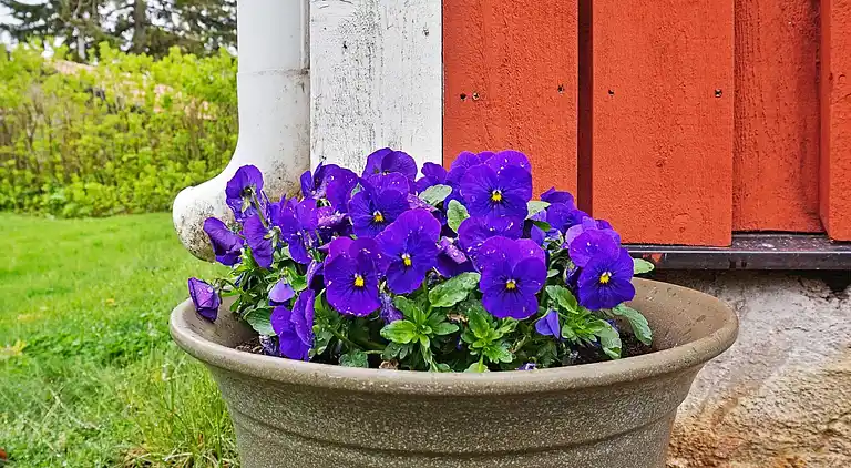 Sommerhus i Norrtälje N