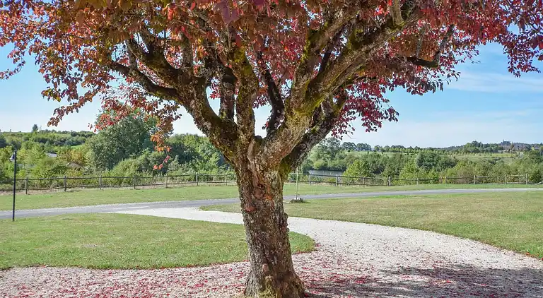 Sommerhus i Excideuil