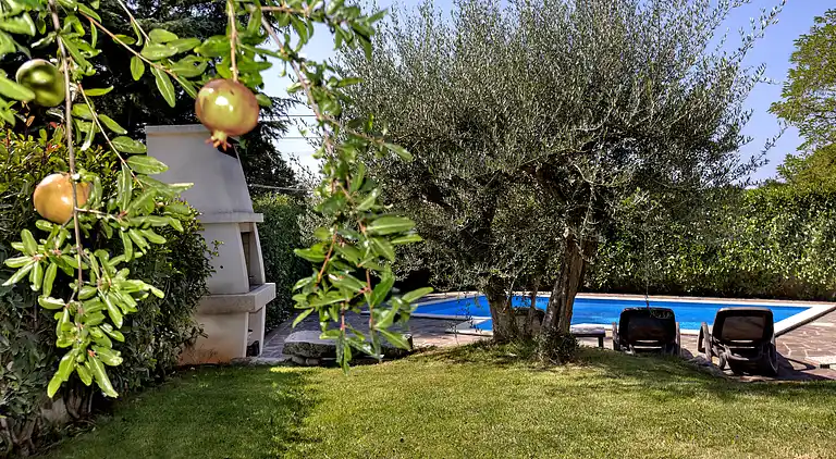 Just 3,5 km away from Porec, private Pool, WiFi, BBQ