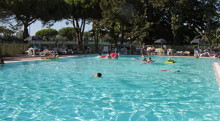 Wonderful two-room apartment immersed in a green oasis 