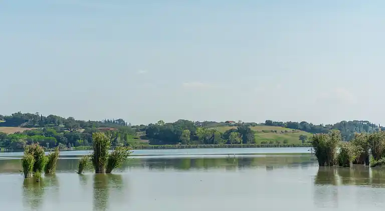 Holiday home in Montepulciano