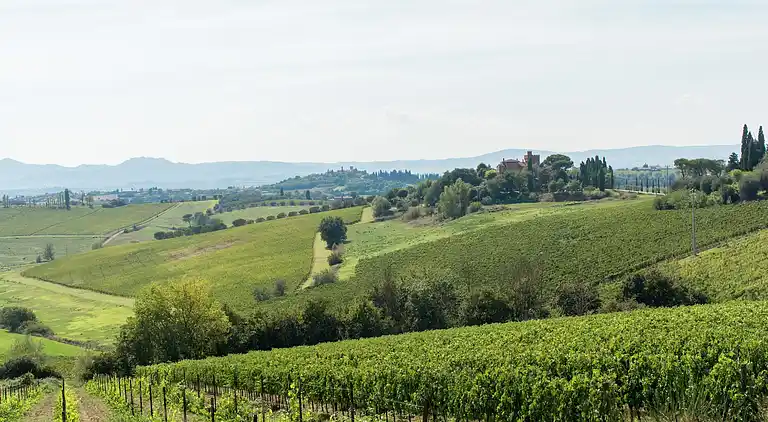 Holiday home in Montepulciano