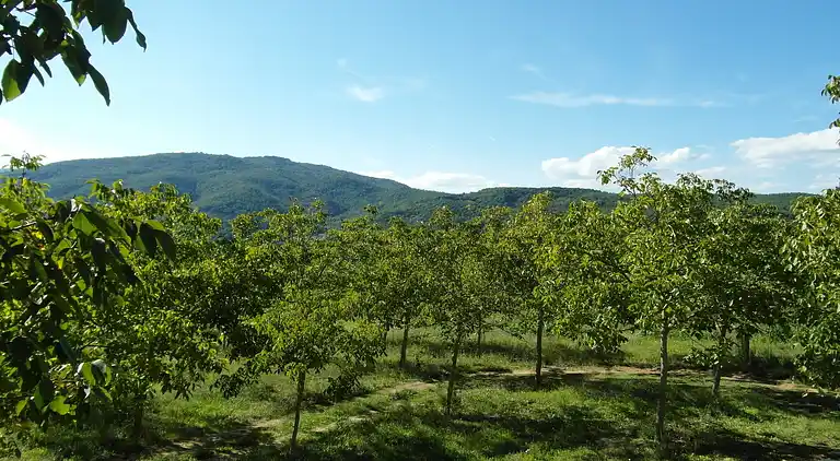 Holiday home in Monterchi