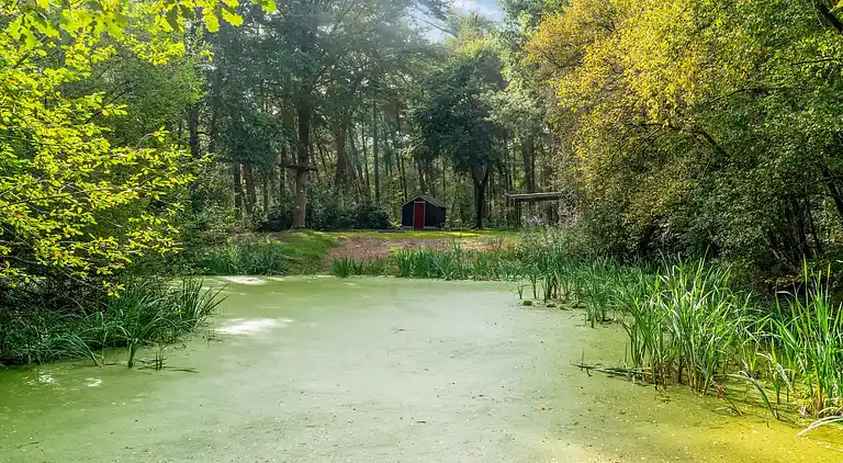 Vakantiehuis in Rheezerveen