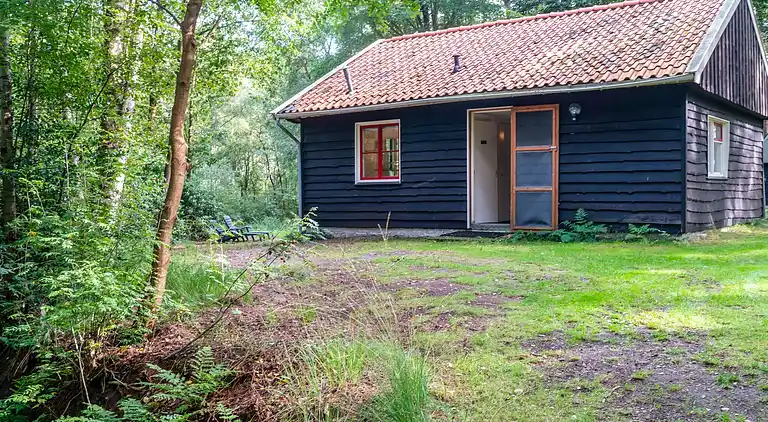 Vakantiehuis in Rheezerveen