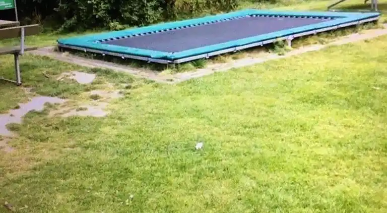 Sommerhus i Bork Havn