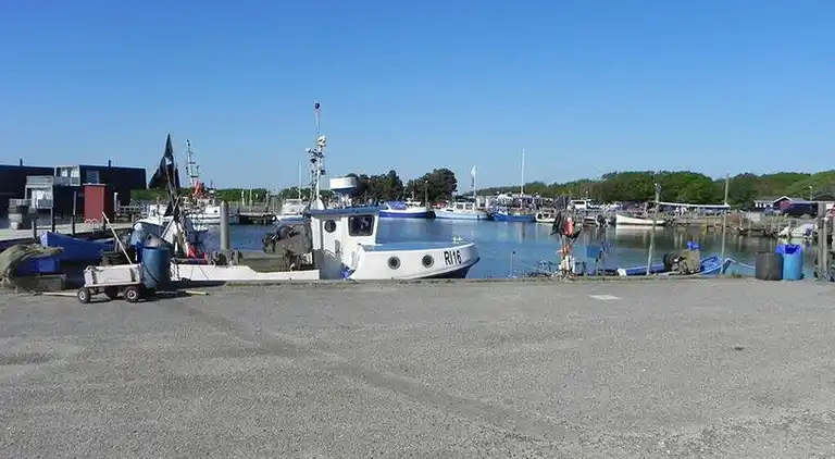 Sommerhus i Bork Havn