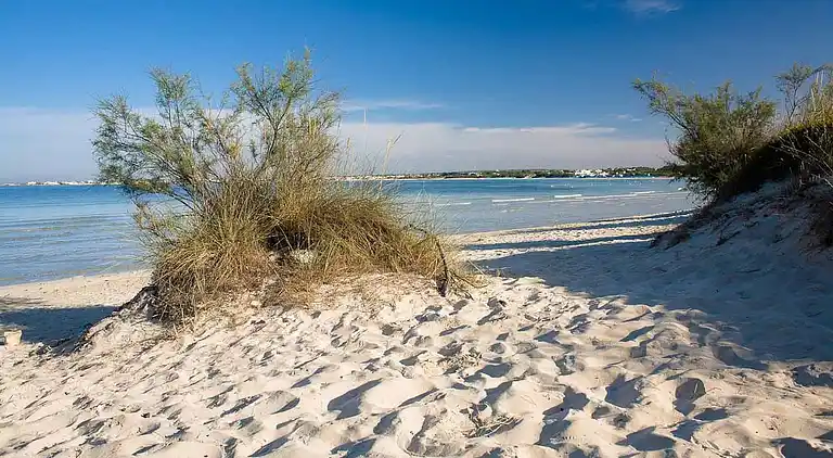 Holiday home in Casarano