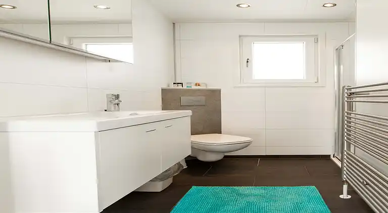 Cottage in South Holland