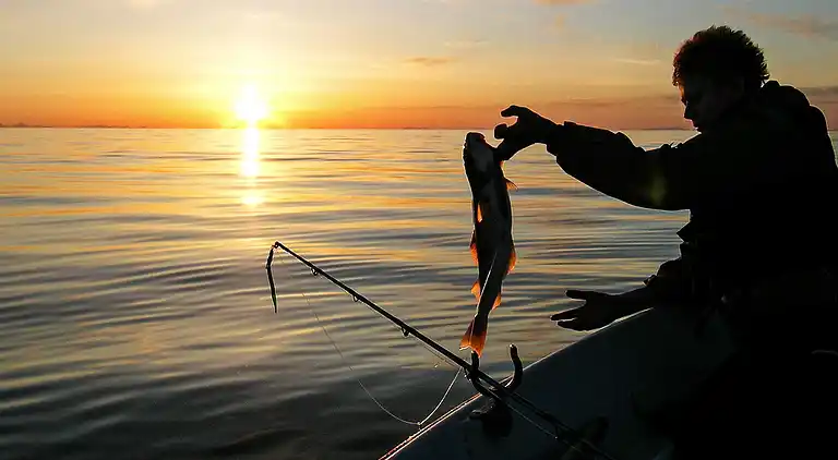 Sommerhus i Skrolsvik