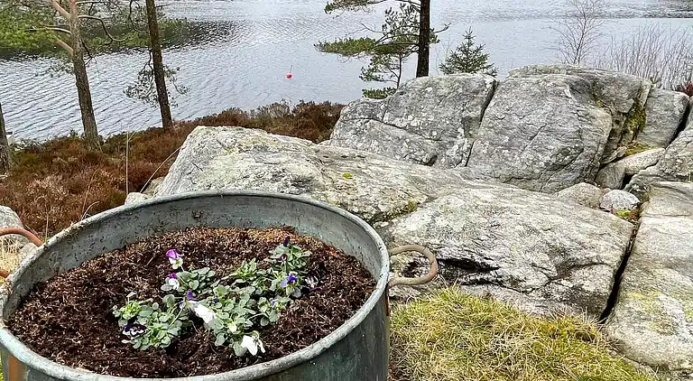 Semesterbostad i Sveio