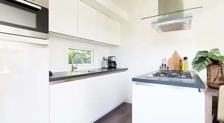 Cottage in South Holland