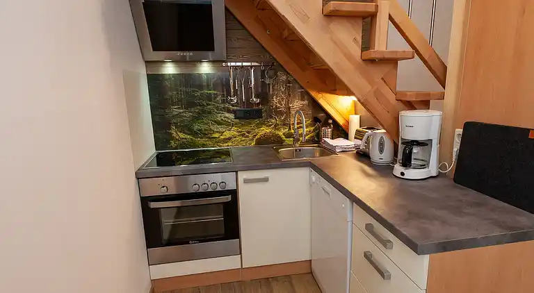 Apartment in Maishofen