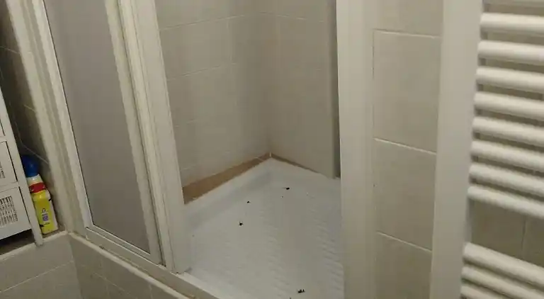 Holiday home in Cesio