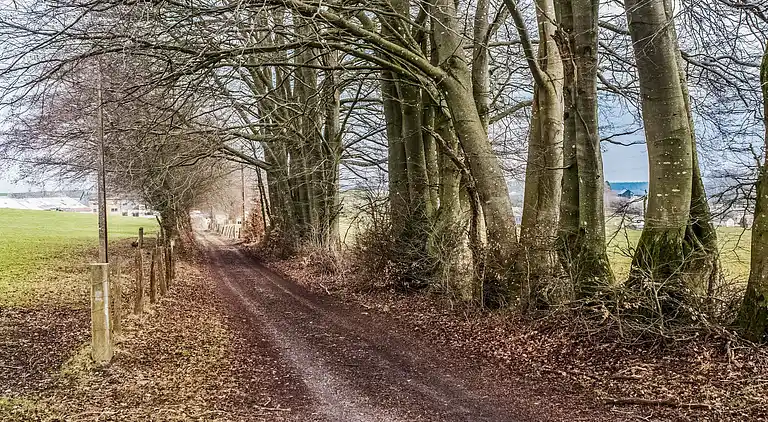 Hytte i Vaux-sur-Sûre