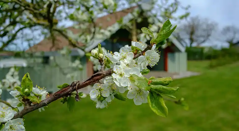 Feriebolig i Ebeltoft