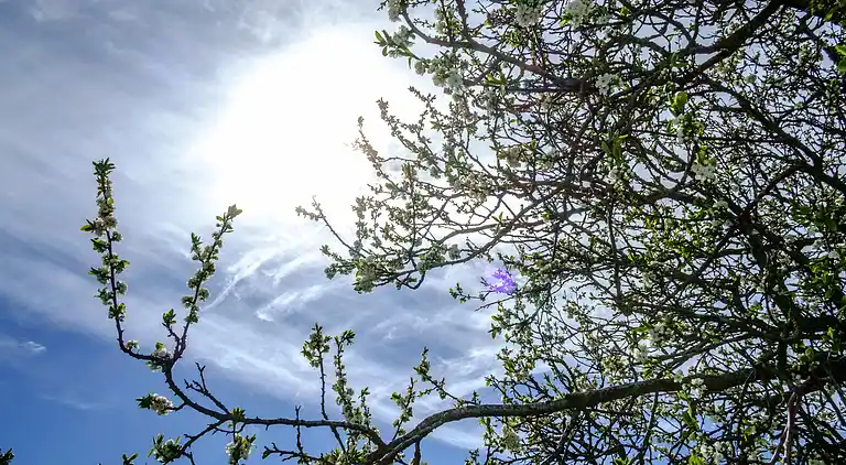 Feriebolig i Ebeltoft