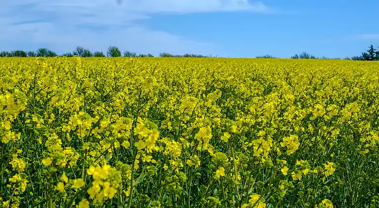Feriebolig i Ebeltoft