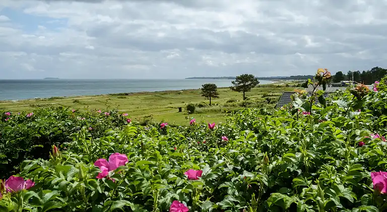 Sommerhus i Ebeltoft