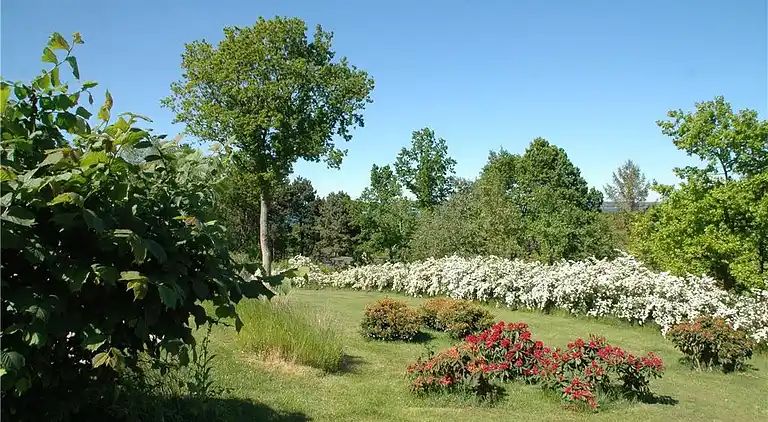 Holiday home in Knebel