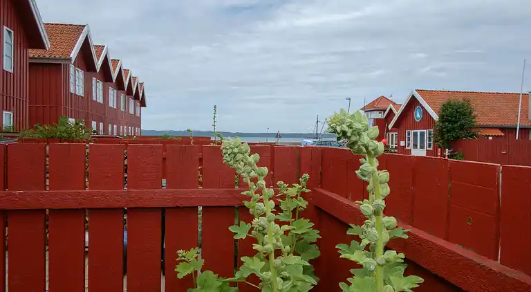 Feriebolig i Ebeltoft