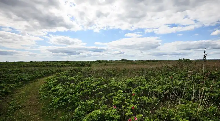 Holiday home in Øer Strand
