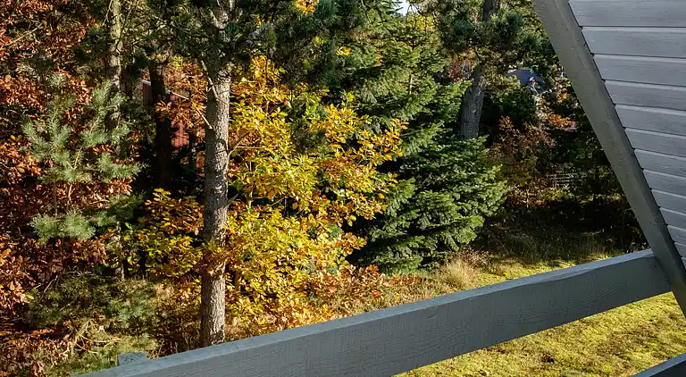 Sommerhus i Ebeltoft