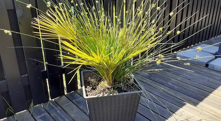 Holiday home in Ålbæk