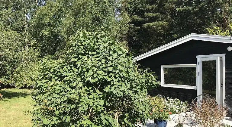 Ferienhaus in Frederiksværk