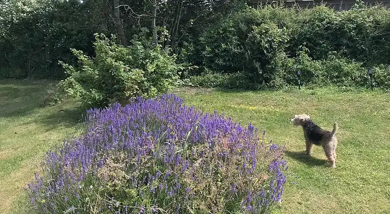 Holiday home in Hundested