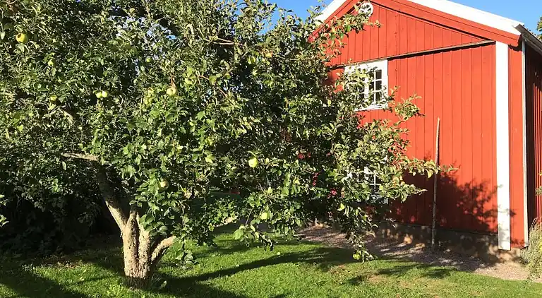 Sommerhus i Tidersrum