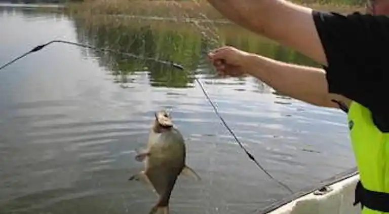 Sommerhus i Kristianstad N