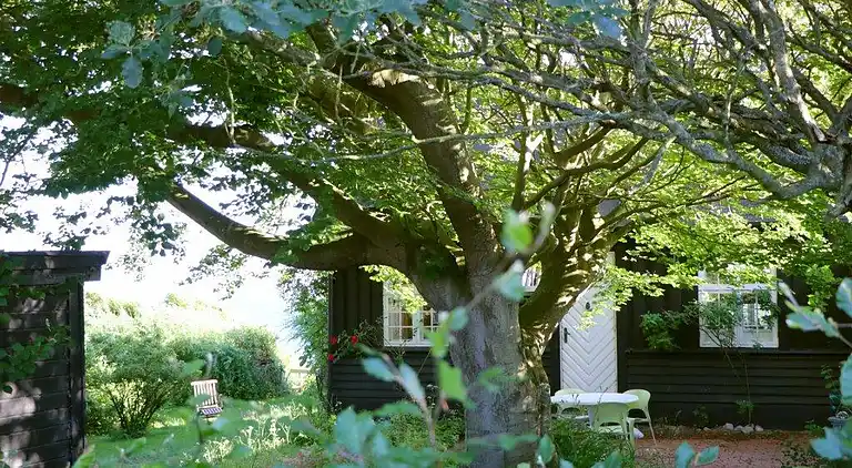 Holiday home in Kalundborg