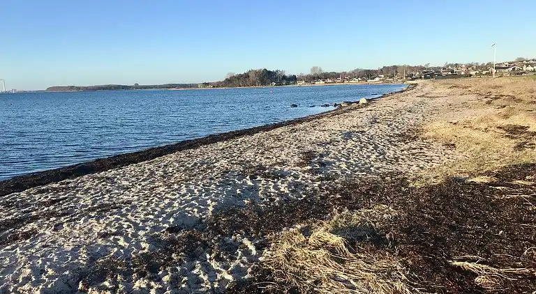 Sommerhus ved Følle Strand