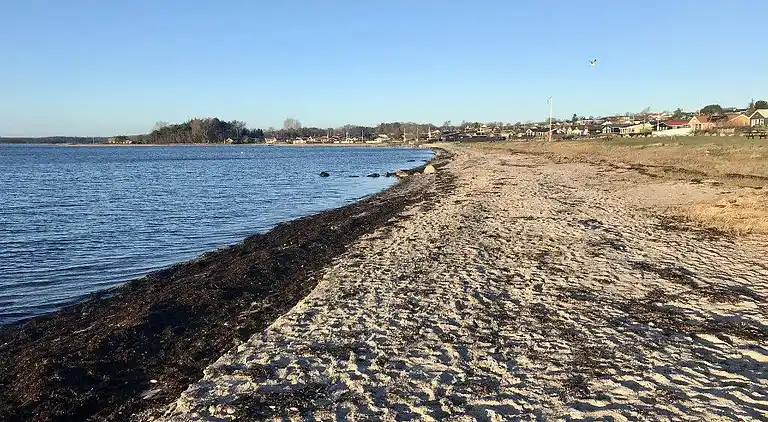 Sommerhus ved Følle Strand