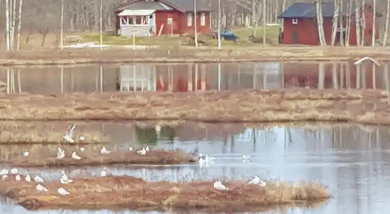 Holiday home in Filipstad NO