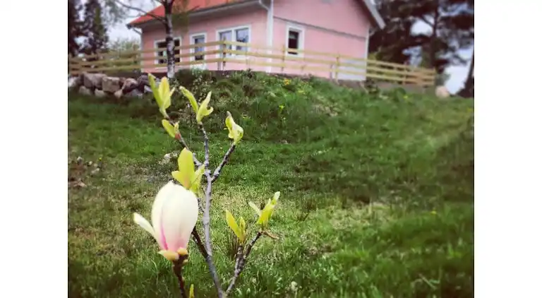 Sommerhus i Söderköping Ö
