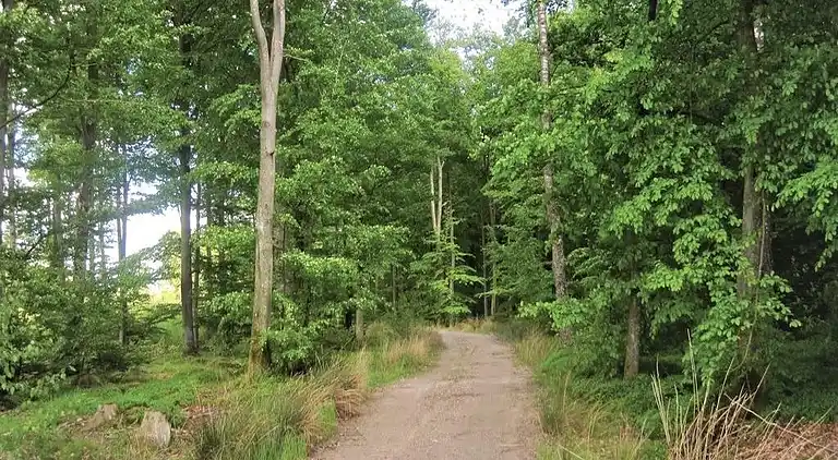 Sommerhus i Kristianstad V